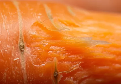 Imagen PNG para descargar